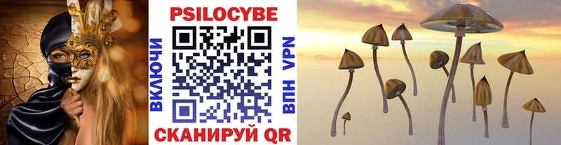 где купить наркотик Зарайск Галлюциногенные грибы мухоморы